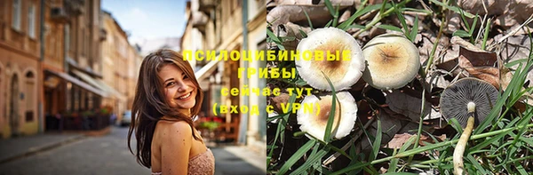 Альфа ПВП Аркадак