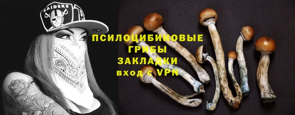 Альфа ПВП Аркадак