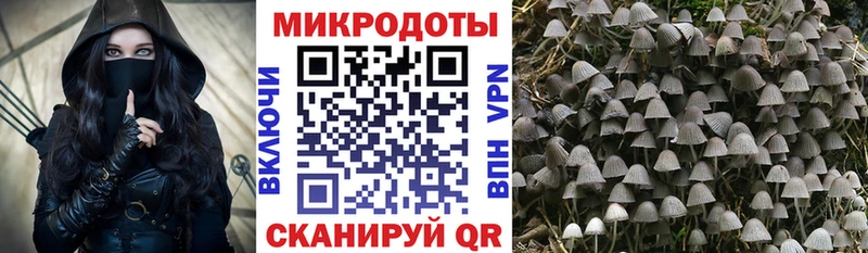 купить   блэк спрут ссылки  Псилоцибиновые грибы GOLDEN TEACHER  Судак 